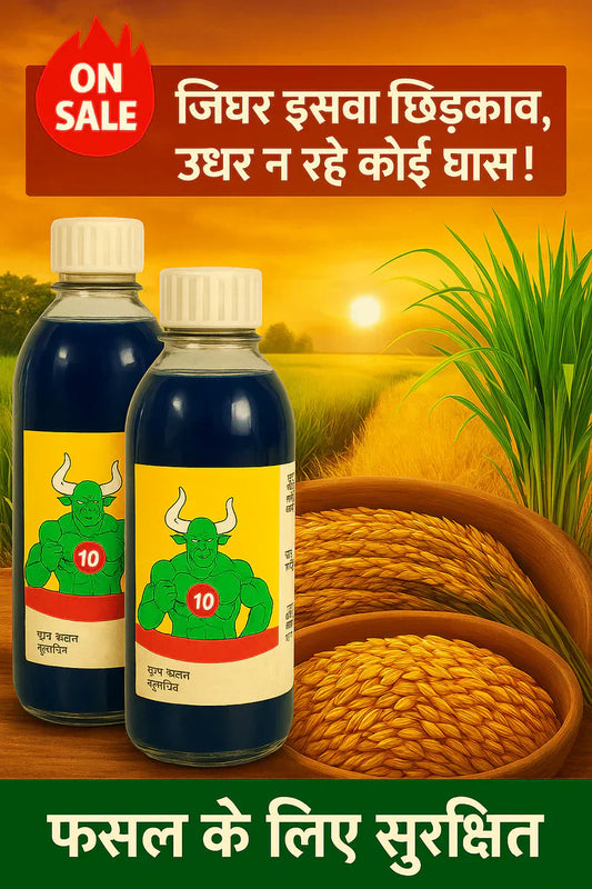 High Concentration Glufosinate Herbicide - Effective Weed Killer 🌾🌱 (Buy 1 Get 1 Free)