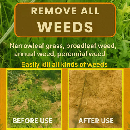 High Concentration Glufosinate Herbicide - Effective Weed Killer 🌾🌱 (Buy 1 Get 1 Free)